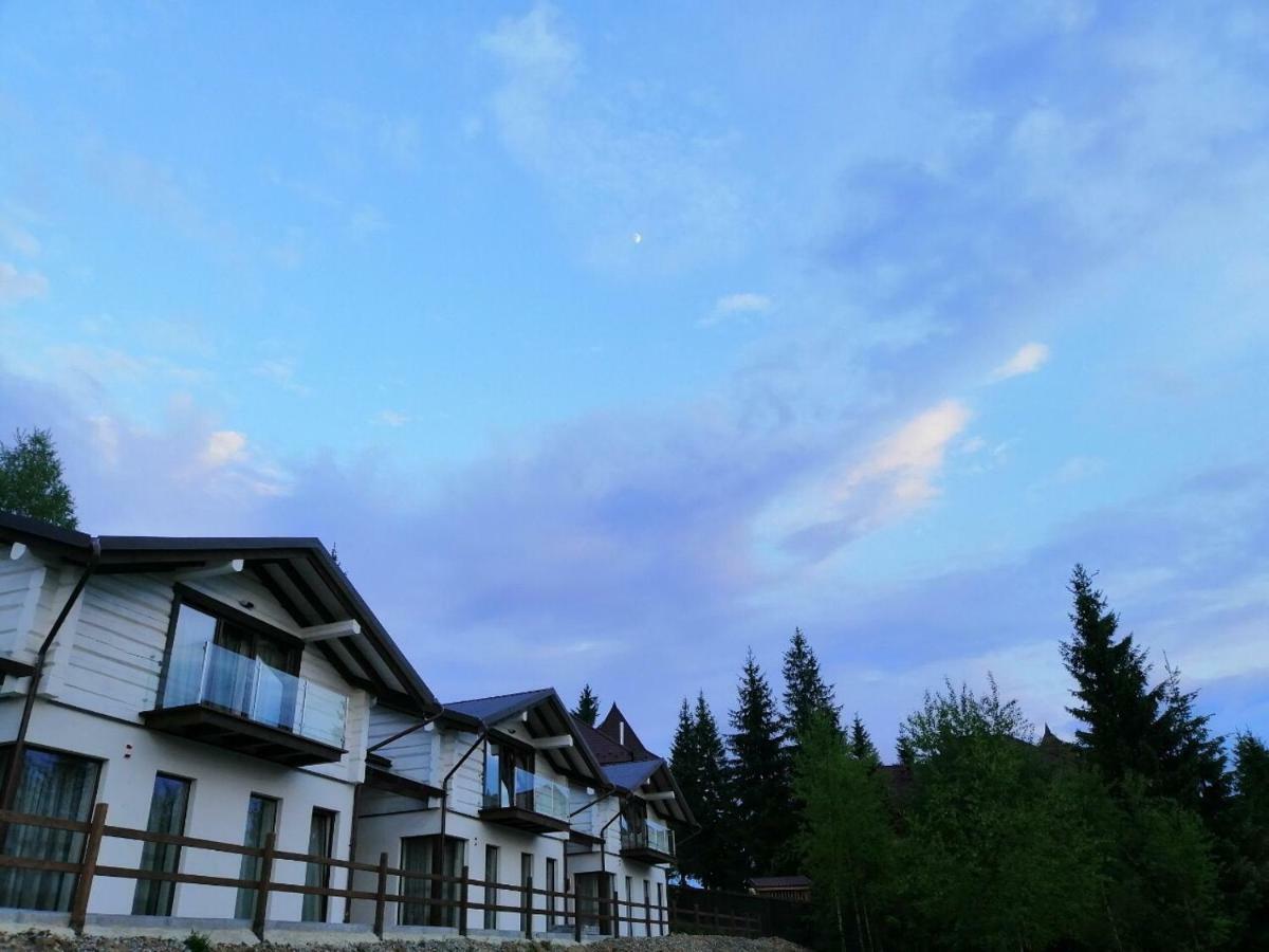 Good Days Shale 4 км до буковеля Chalet *